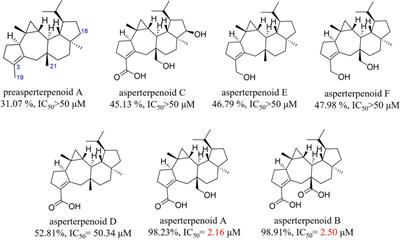 The Oxidation Cascade of a Rare Multifunctional P450 Enzyme Involved in Asperterpenoid A Biosynthesis